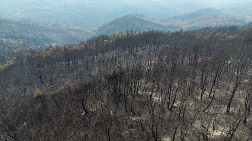 Κανένας Εβρίτης δεν βρίσκεται μεταξύ των 16 μελών της Ειδικής Επιτροπής που συστήθηκε για την κατάρτιση Ειδικού Αναπτυξιακού Προγράμματος για τα καμένα στον Έβρο