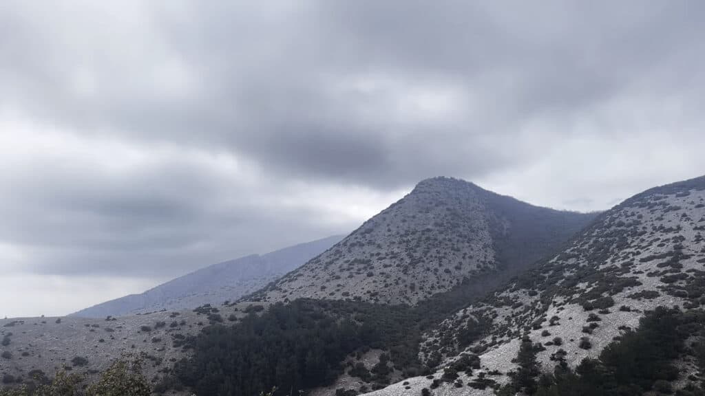 Αβγό Ξάνθης