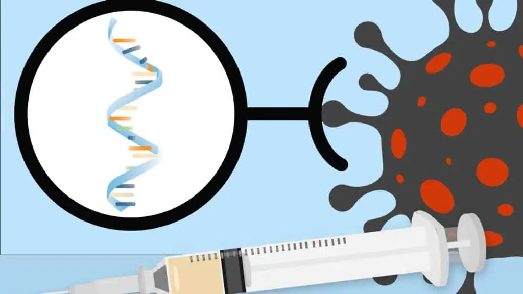 MIT mRNA vaccines explainer 01 2024